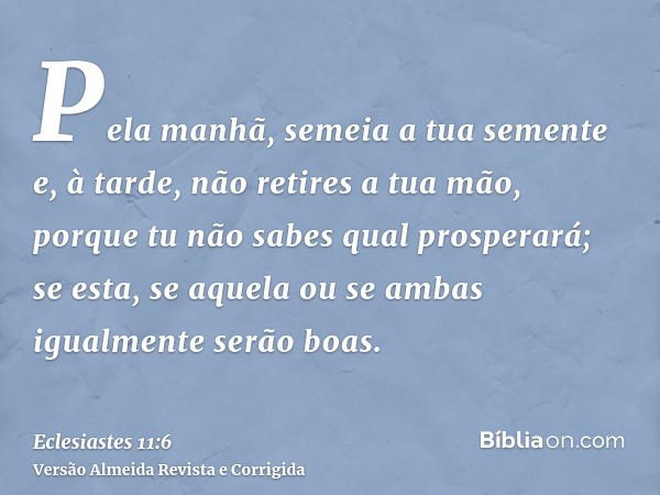 Pela manhã, semeia a tua semente e, à tarde, não retires a tua mão, porque tu não sabes qual prosperará; se esta, se aquela ou se ambas igualmente serão boas.