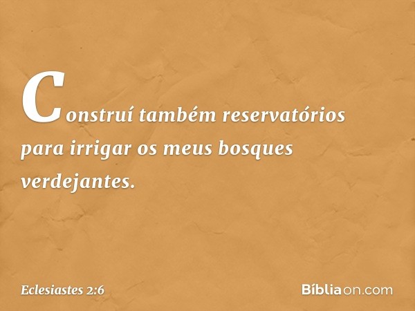 Construí também reservatórios para irrigar os meus bosques verdejantes. -- Eclesiastes 2:6