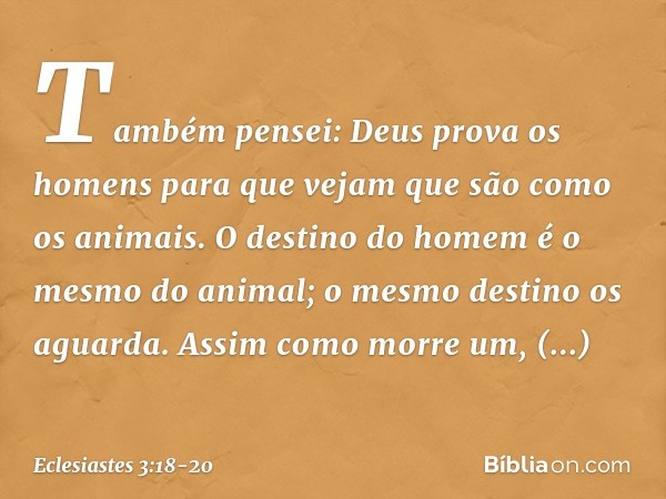 Também pensei: Deus prova os homens para que vejam que são como os animais. O destino do homem é o mesmo do animal; o mesmo destino os aguarda. Assim como morre