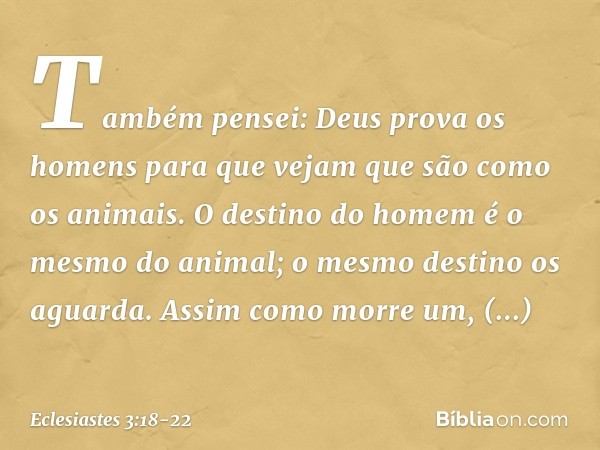 Também pensei: Deus prova os homens para que vejam que são como os animais. O destino do homem é o mesmo do animal; o mesmo destino os aguarda. Assim como morre