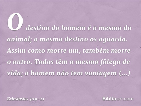 O destino do homem é o mesmo do animal; o mesmo destino os aguarda. Assim como morre um, também morre o outro. Todos têm o mesmo fôlego de vida; o homem não tem