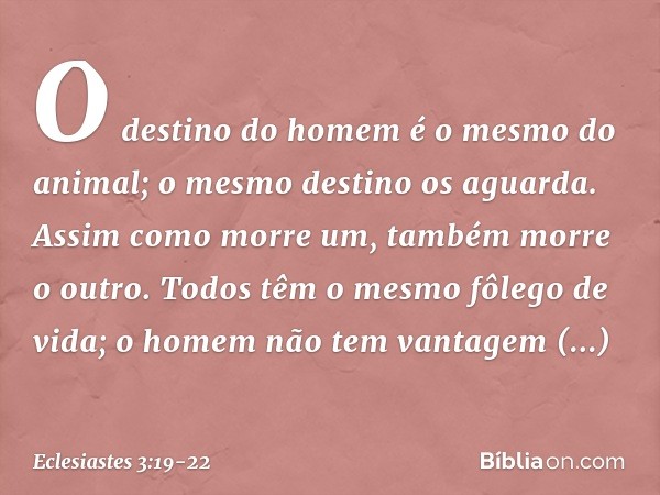 O destino do homem é o mesmo do animal; o mesmo destino os aguarda. Assim como morre um, também morre o outro. Todos têm o mesmo fôlego de vida; o homem não tem