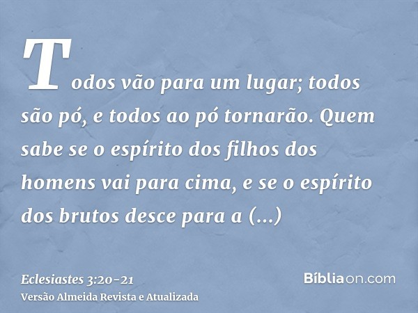 Todos vão para um lugar; todos são pó, e todos ao pó tornarão.Quem sabe se o espírito dos filhos dos homens vai para cima, e se o espírito dos brutos desce para