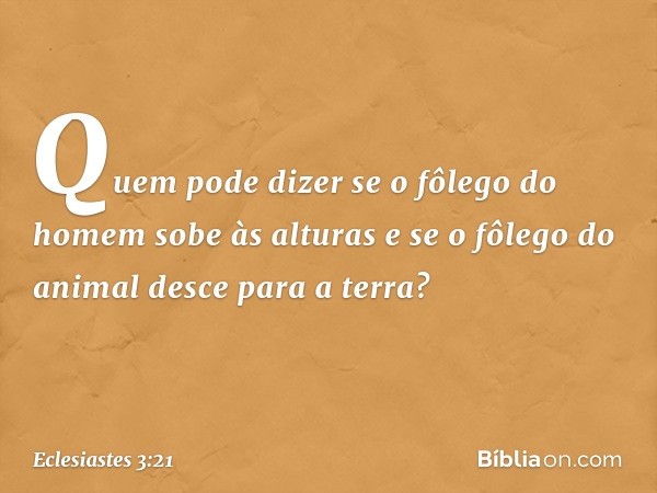 Quem pode dizer se o fôlego do homem sobe às alturas e se o fôlego do animal desce para a terra? -- Eclesiastes 3:21