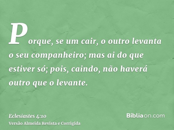 Porque, se um cair, o outro levanta o seu companheiro; mas ai do que estiver só; pois, caindo, não haverá outro que o levante.