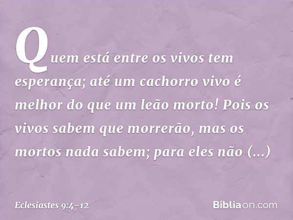 Quem está entre os vivos tem esperança; até um cachorro vivo é melhor do que um leão morto! Pois os vivos sabem que morrerão,
mas os mortos nada sabem;
para ele