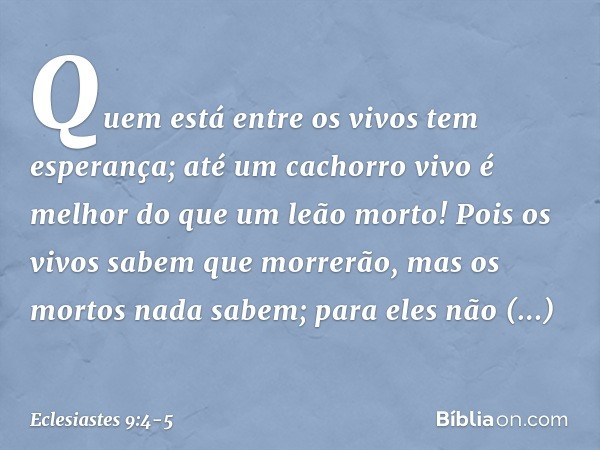 Quem está entre os vivos tem esperança; até um cachorro vivo é melhor do que um leão morto! Pois os vivos sabem que morrerão,
mas os mortos nada sabem;
para ele