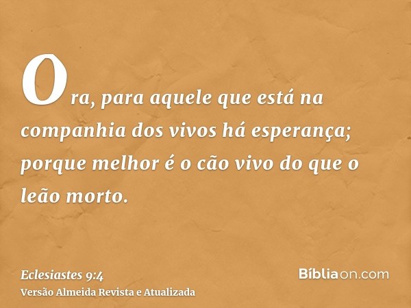 Ora, para aquele que está na companhia dos vivos há esperança; porque melhor é o cão vivo do que o leão morto.