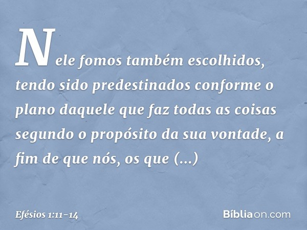 Nele fomos também escolhidos, tendo sido predestinados conforme o plano daquele que faz todas as coisas segundo o propósito da sua vontade, a fim de que nós, os