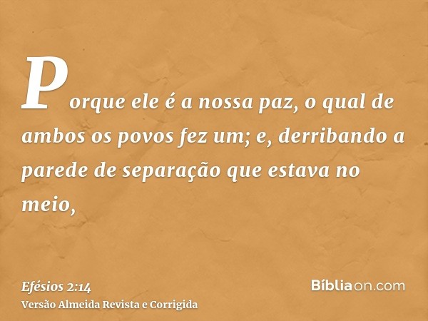 Porque ele é a nossa paz, o qual de ambos os povos fez um; e, derribando a parede de separação que estava no meio,