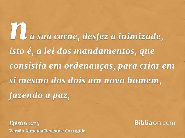 na sua carne, desfez a inimizade, isto é, a lei dos mandamentos, que consistia em ordenanças, para criar em si mesmo dos dois um novo homem, fazendo a paz,