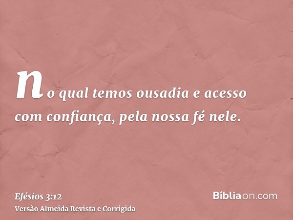 no qual temos ousadia e acesso com confiança, pela nossa fé nele.