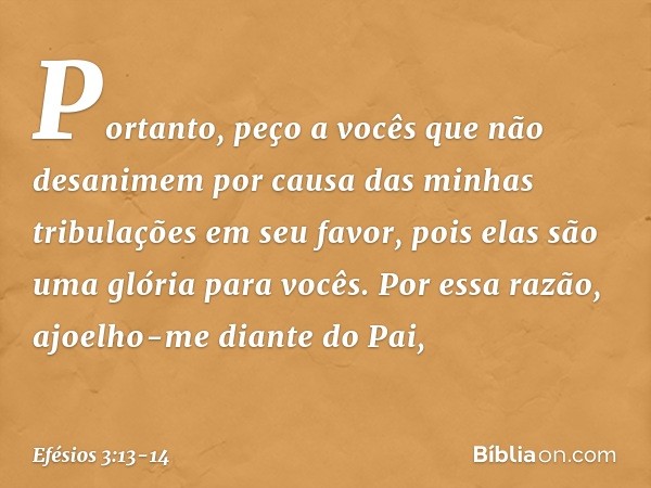 Portanto, peço a vocês que não desanimem por causa das minhas tribulações em seu favor, pois elas são uma glória para vocês. Por essa razão, ajoelho-me diante d