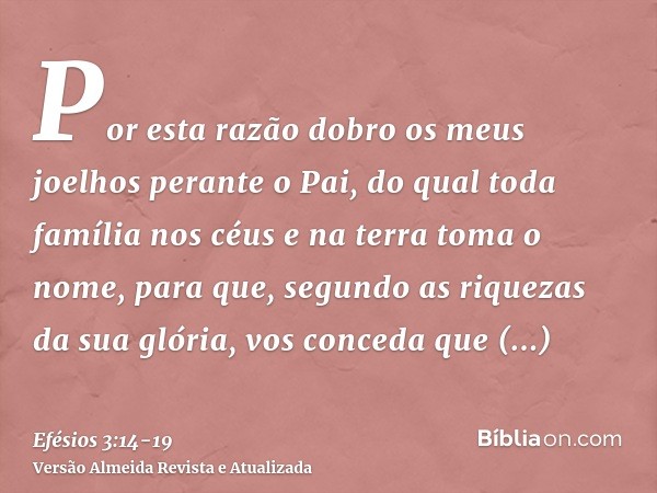 Por esta razão dobro os meus joelhos perante o Pai,do qual toda família nos céus e na terra toma o nome,para que, segundo as riquezas da sua glória, vos conceda