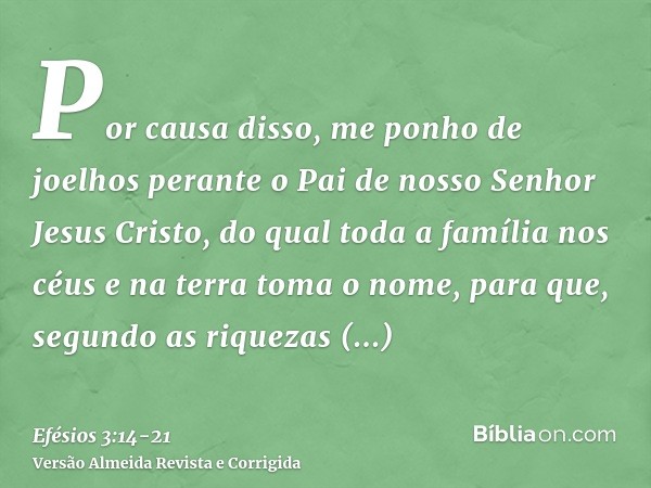 Por causa disso, me ponho de joelhos perante o Pai de nosso Senhor Jesus Cristo,do qual toda a família nos céus e na terra toma o nome,para que, segundo as riqu