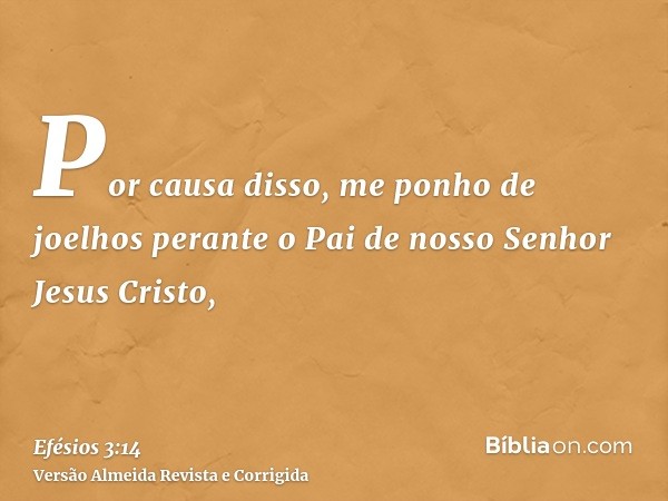 Por causa disso, me ponho de joelhos perante o Pai de nosso Senhor Jesus Cristo,