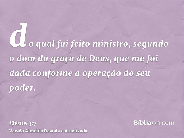 do qual fui feito ministro, segundo o dom da graça de Deus, que me foi dada conforme a operação do seu poder.