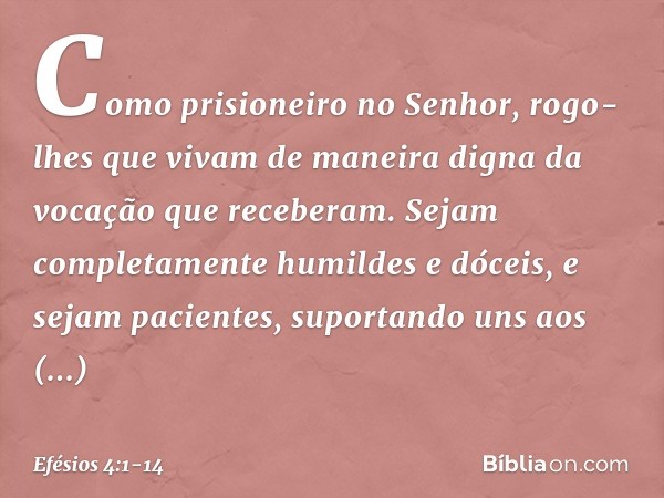 Como prisioneiro no Senhor, rogo-lhes que vivam de maneira digna da vocação que receberam. Sejam completamente humildes e dóceis, e sejam pacientes, suportando 