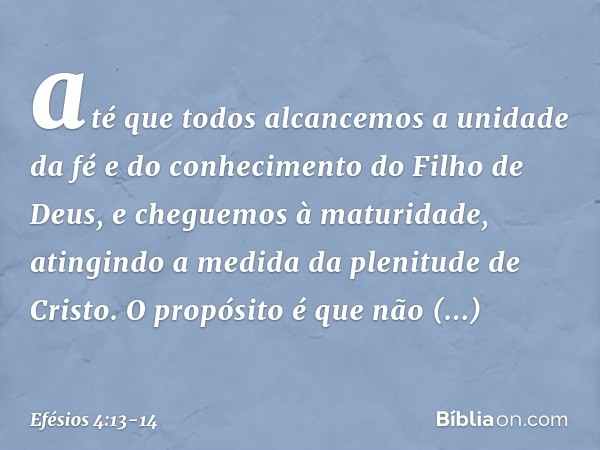 até que todos alcancemos a unidade da fé e do conhecimento do Filho de Deus, e cheguemos à maturidade, atingindo a medida da plenitude de Cristo. O propósito é 