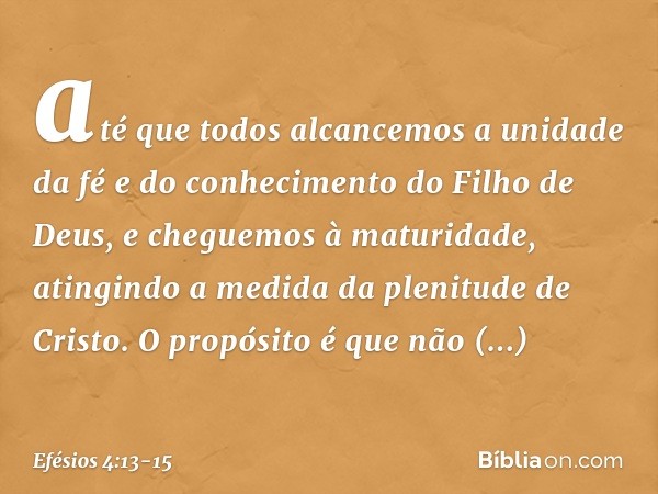até que todos alcancemos a unidade da fé e do conhecimento do Filho de Deus, e cheguemos à maturidade, atingindo a medida da plenitude de Cristo. O propósito é
