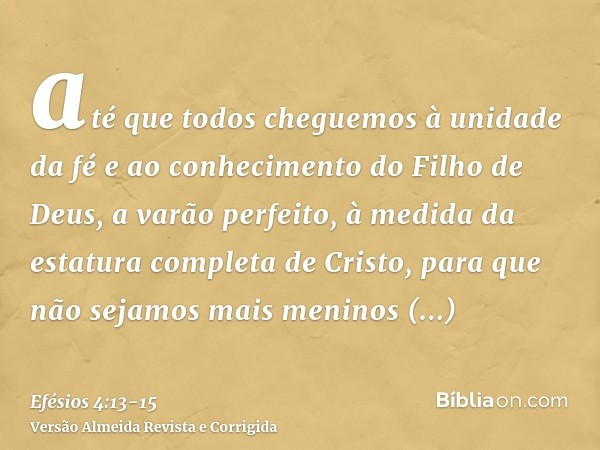 até que todos cheguemos à unidade da fé e ao conhecimento do Filho de Deus, a varão perfeito, à medida da estatura completa de Cristo,para que não sejamos mais 