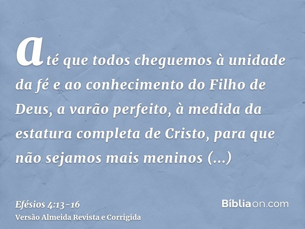 até que todos cheguemos à unidade da fé e ao conhecimento do Filho de Deus, a varão perfeito, à medida da estatura completa de Cristo,para que não sejamos mais 