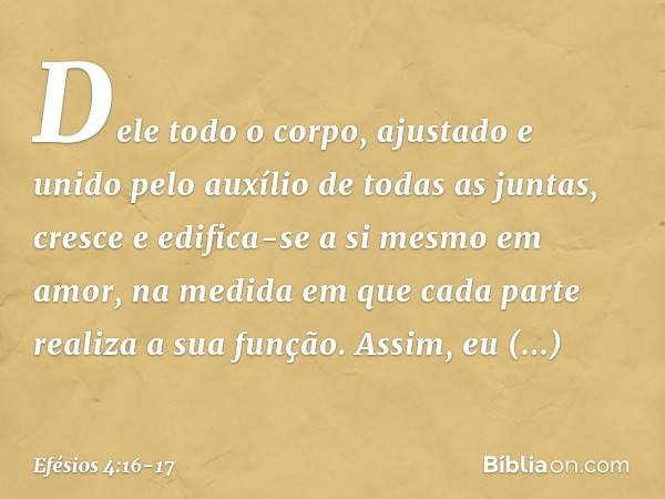 Dele todo o corpo, ajustado e unido pelo auxílio de todas as juntas, cresce e edifica-se a si mesmo em amor, na medida em que cada parte realiza a sua função. A