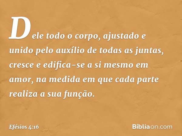 Dele todo o corpo, ajustado e unido pelo auxílio de todas as juntas, cresce e edifica-se a si mesmo em amor, na medida em que cada parte realiza a sua função. -