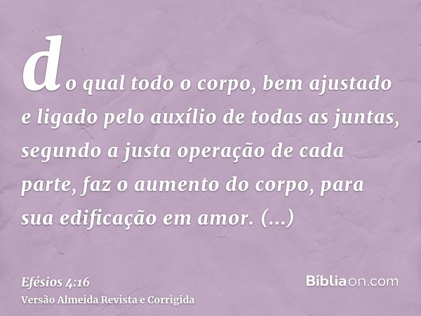 do qual todo o corpo, bem ajustado e ligado pelo auxílio de todas as juntas, segundo a justa operação de cada parte, faz o aumento do corpo, para sua edificação