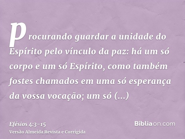 procurando guardar a unidade do Espírito pelo vínculo da paz:há um só corpo e um só Espírito, como também fostes chamados em uma só esperança da vossa vocação;u