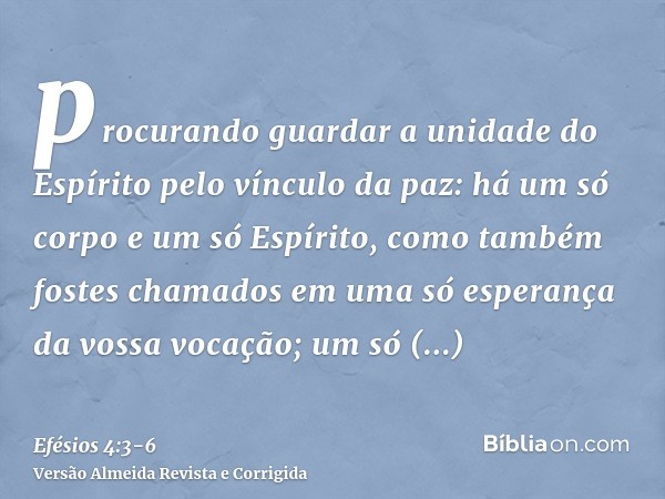 procurando guardar a unidade do Espírito pelo vínculo da paz:há um só corpo e um só Espírito, como também fostes chamados em uma só esperança da vossa vocação;u