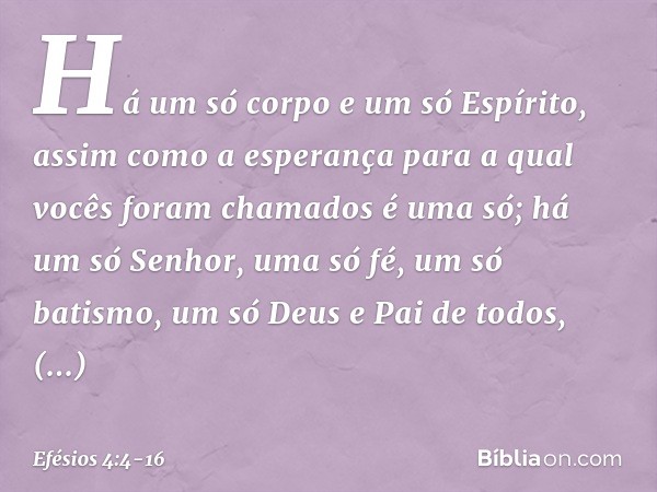 Há um só corpo e um só Espírito, assim como a esperança para a qual vocês foram chamados é uma só; há um só Senhor, uma só fé, um só batismo, um só Deus e Pai d