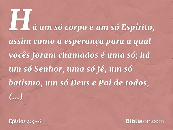 Há um só corpo e um só Espírito, assim como a esperança para a qual vocês foram chamados é uma só; há um só Senhor, uma só fé, um só batismo, um só Deus e Pai d