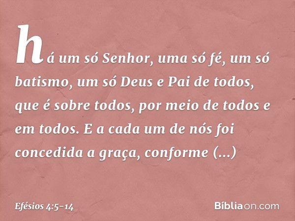 há um só Senhor, uma só fé, um só batismo, um só Deus e Pai de todos, que é sobre todos, por meio de todos e em todos. E a cada um de nós foi concedida a graça,