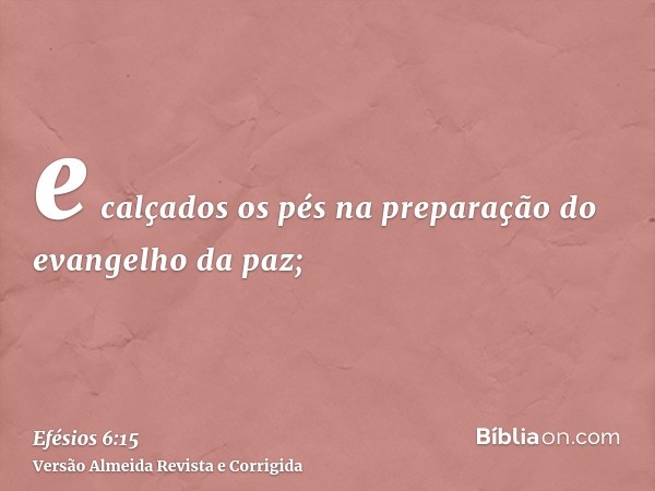 e calçados os pés na preparação do evangelho da paz;