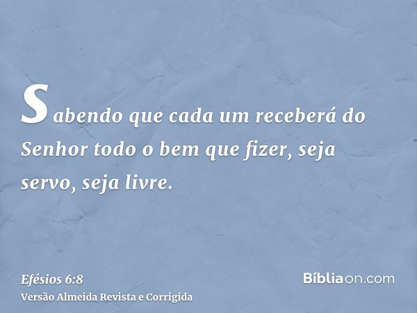 sabendo que cada um receberá do Senhor todo o bem que fizer, seja servo, seja livre.