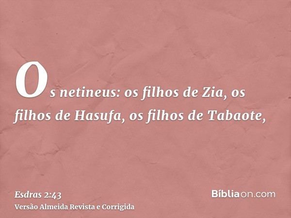 Os netineus: os filhos de Zia, os filhos de Hasufa, os filhos de Tabaote,