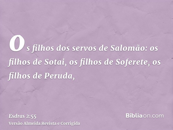 os filhos dos servos de Salomão: os filhos de Sotai, os filhos de Soferete, os filhos de Peruda,