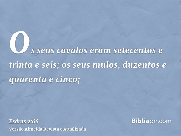 Os seus cavalos eram setecentos e trinta e seis; os seus mulos, duzentos e quarenta e cinco;