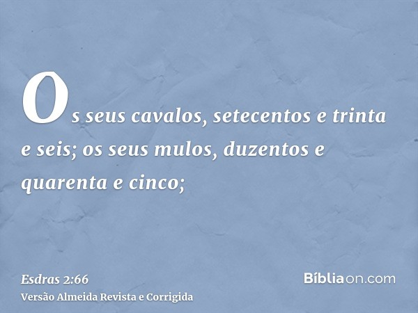 Os seus cavalos, setecentos e trinta e seis; os seus mulos, duzentos e quarenta e cinco;