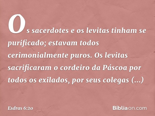 Os sacerdotes e os levitas tinham se purificado; estavam todos cerimonialmente puros. Os levitas sacrificaram o cordeiro da Páscoa por todos os exilados, por se