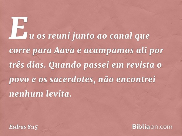 Eu os reuni junto ao canal que corre para Aava e acampamos ali por três dias. Quando passei em revista o povo e os sacerdo­tes, não encontrei nenhum levita. -- 