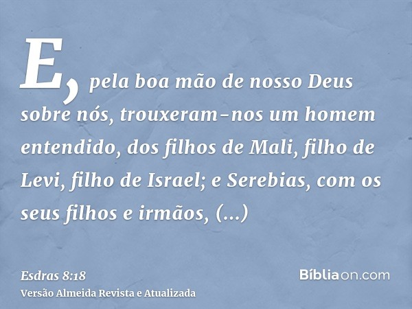 E, pela boa mão de nosso Deus sobre nós, trouxeram-nos um homem entendido, dos filhos de Mali, filho de Levi, filho de Israel; e Serebias, com os seus filhos e 