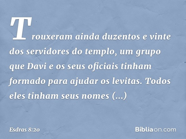 Trouxeram ainda duzentos e vinte dos servidores do templo, um grupo que Davi e os seus oficiais tinham formado para ajudar os levitas. Todos eles tinham seus no