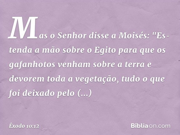 Mas o Senhor disse a Moisés: "Estenda a mão sobre o Egito para que os gafanhotos venham sobre a terra e devorem toda a vegetação, tudo o que foi deixado pelo