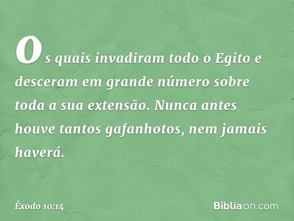 os quais invadiram todo o Egito e desceram em grande número sobre toda a sua extensão. Nunca antes houve tantos gafanhotos, nem jamais haverá. -- Êxodo 10:14