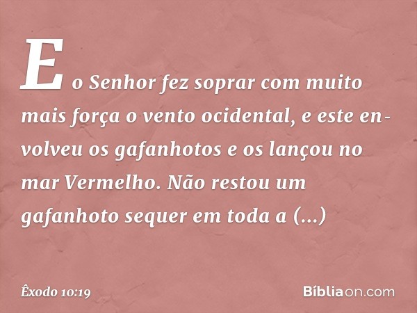 E o Senhor fez soprar com muito mais força o vento ocidental, e este en­volveu os gafanhotos e os lançou no mar Ver­melho. Não restou um gafanhoto sequer em tod