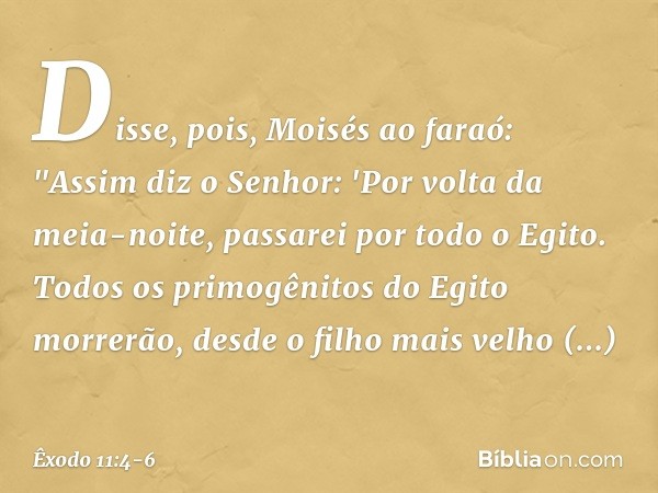 Disse, pois, Moisés ao faraó: "Assim diz o Senhor: 'Por volta da meia-noite, passarei por todo o Egito. Todos os primogênitos do Egito morrerão, desde o filho