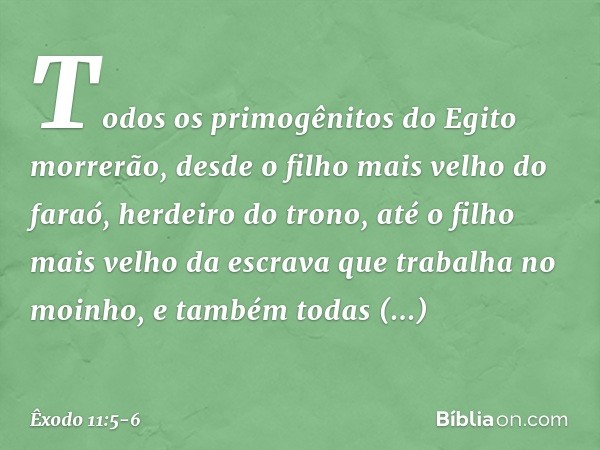 Todos os primogênitos do Egito morrerão, desde o filho mais velho do faraó, herdeiro do trono, até o filho mais velho da escrava que trabalha no moinho, e també