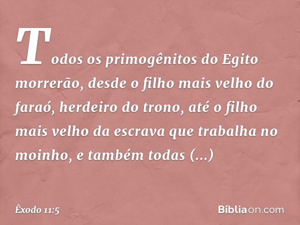 Todos os primogênitos do Egito morrerão, desde o filho mais velho do faraó, herdeiro do trono, até o filho mais velho da escrava que trabalha no moinho, e també